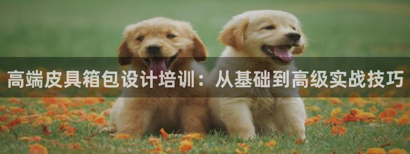 意昂体育3官方客服电话