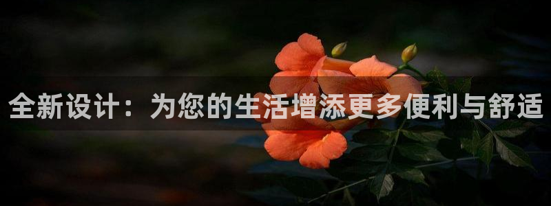 意昂3娱乐首页网站大全