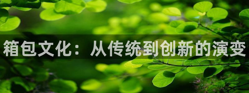 意昂3娱乐首页官网下载
