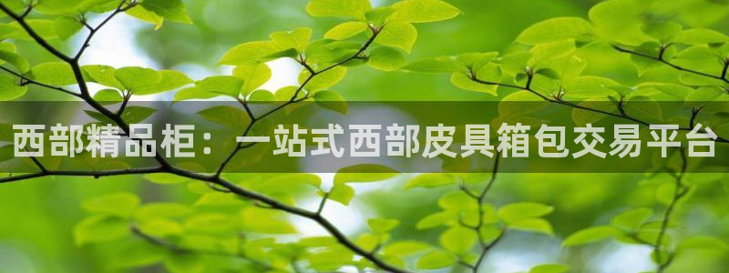 意昂体育3平台APP