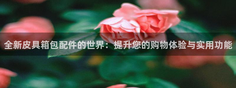 意昂3娱乐平台