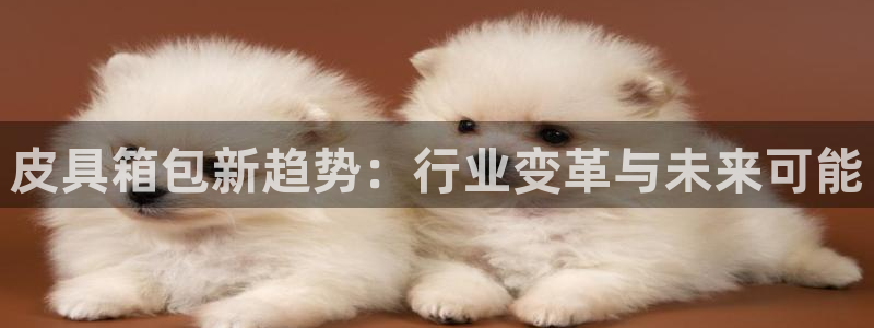 德国意昂3集团