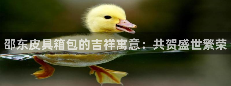 意昂平台体育
