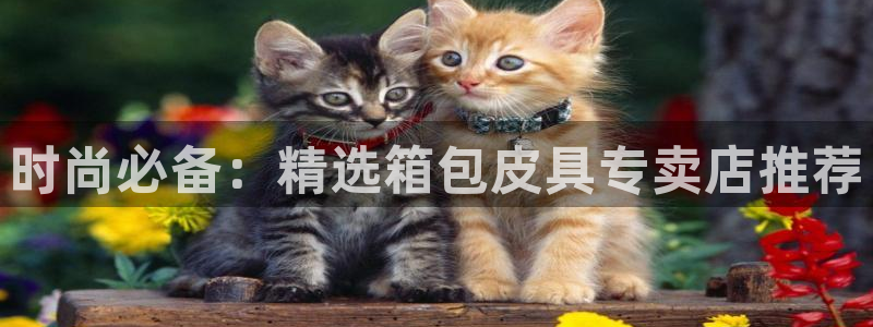 意昂集团官网
