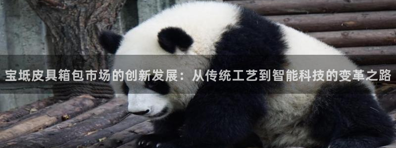 意昂体育3平台注册流程视频