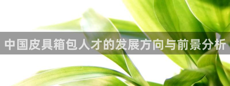 意昂体育3招商电话号码是多少号