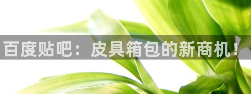 意昂3娱乐