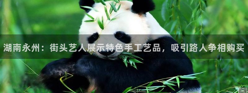 意昂体育3软件