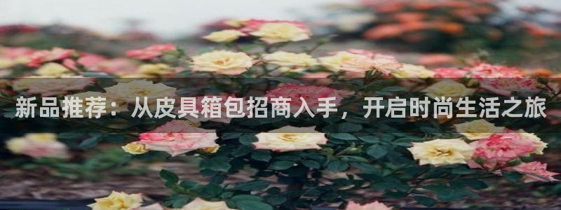 意昂3神州