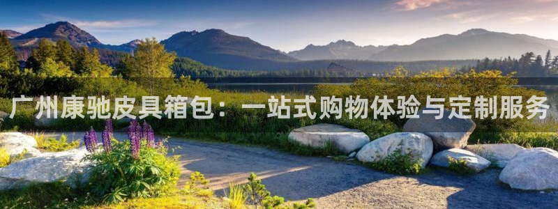 意昂3集团E.ON