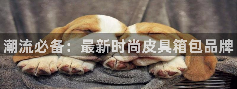 意昂体育3招商电话是多少啊