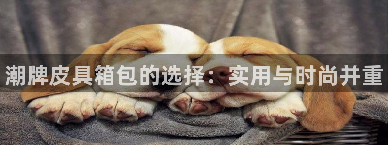 意昂体育3平台是正规平台吗