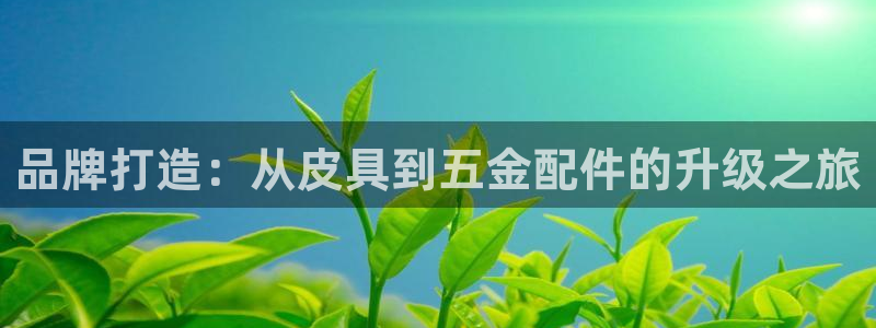 意昂3娱乐下载