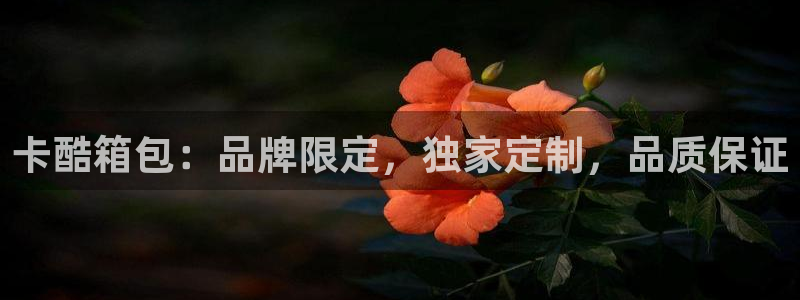 意昂体育3