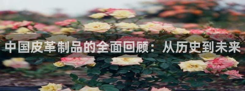 意昂体育3是干嘛的公司