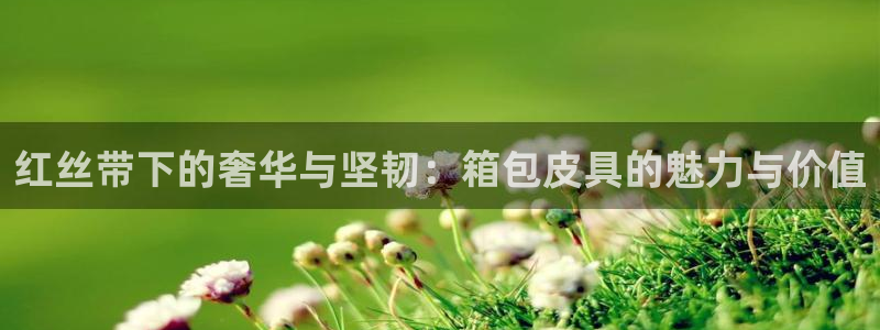 意昂体育3招商电话号码查询