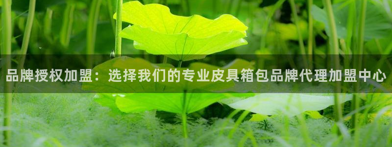 意昂集团官网