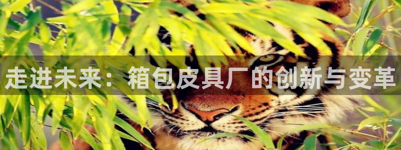 意昂3集团官网网址