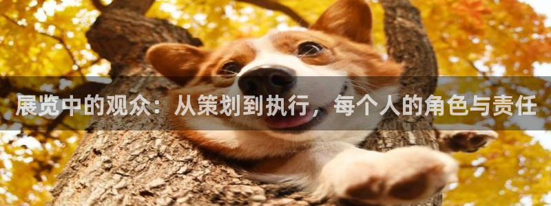 意昂体育3招商电话