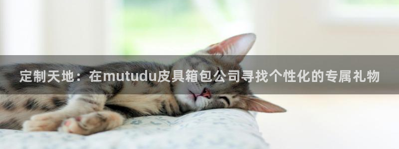 意昂体育3平台假的吗是真的吗吗