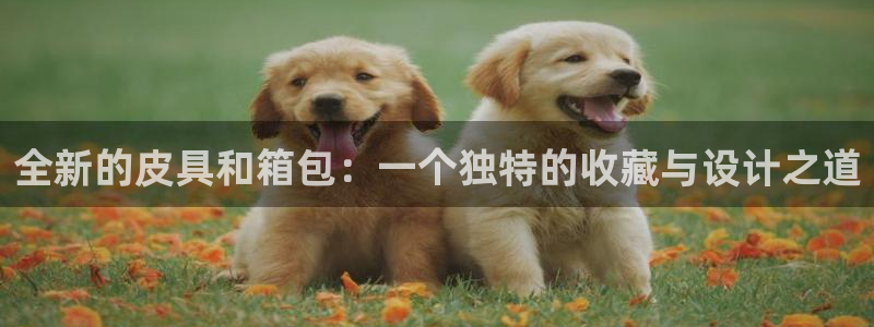 意昂3娱乐网站