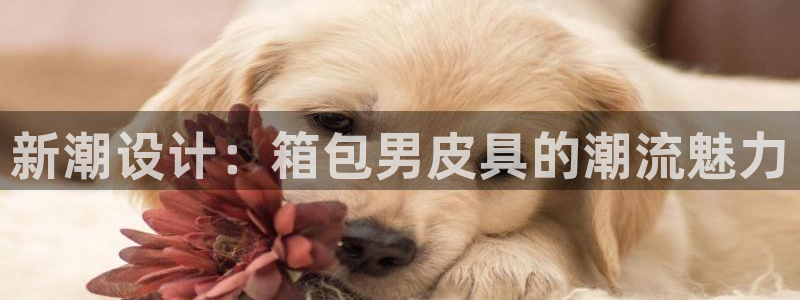 意昂体育3开户