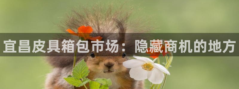 意昂体育3招商电话是多少