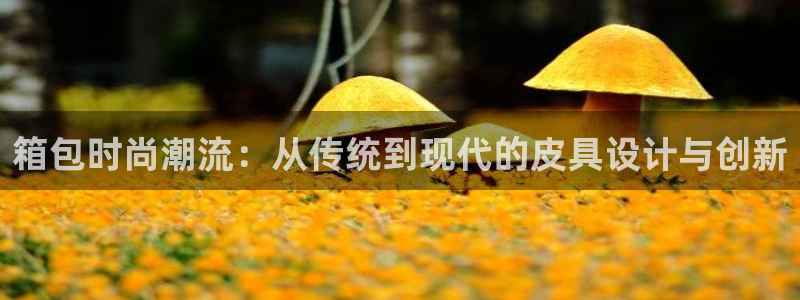 意昂体育3招商电话号码查询是多少