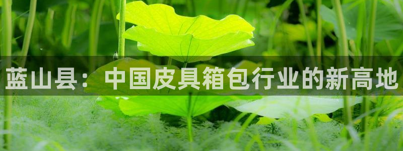 意昂3集团官网首页网址