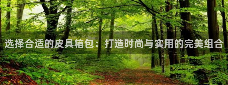 意昂3娱乐代理怎么样