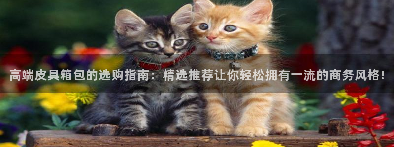 意昂3娱乐网站