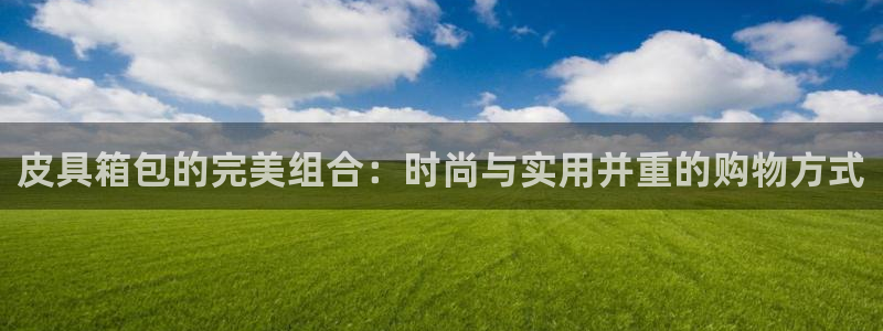 德国意昂3集团