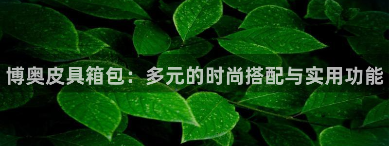 意昂体育3开户