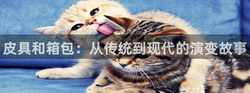 意昂3娱乐下载