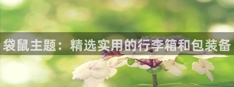 意昂3神州