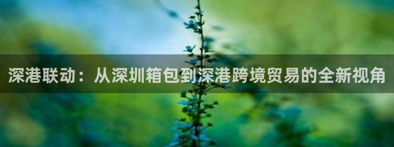 意昂3娱乐首页网站大全