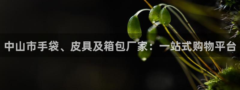 意昂体育3平台注册要钱吗安全吗
