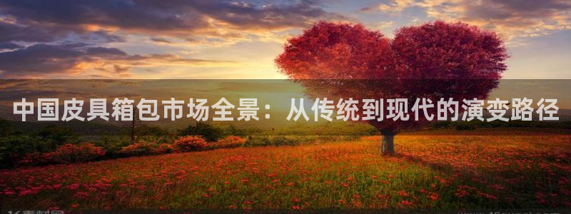 意昂体育3平台注册流程图