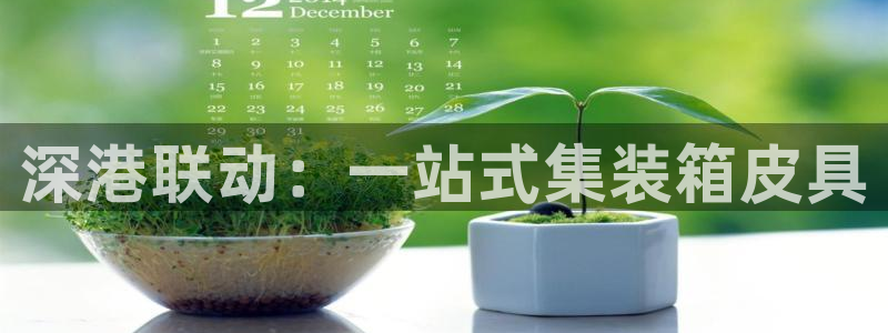 海南意昂体育3发展怎么样