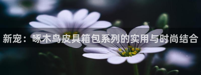 意昂3娱乐是那个系列的台子