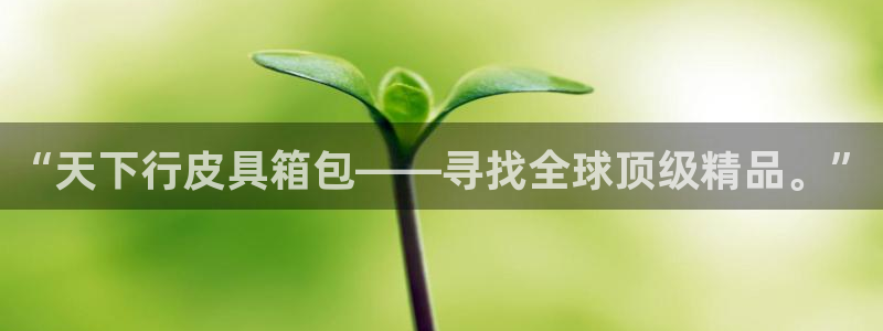 意昂体育3平台注册要钱吗