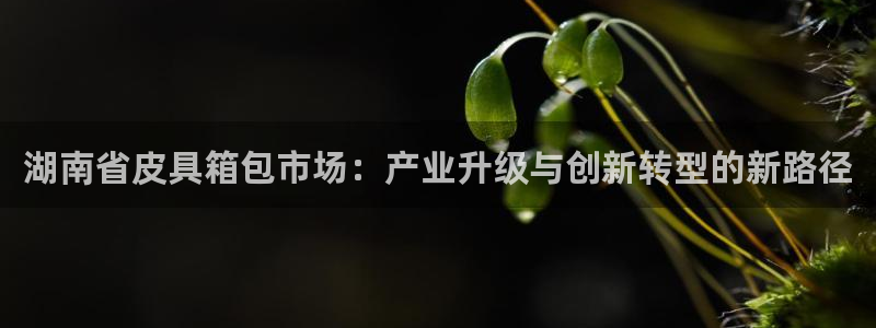 意昂3娱乐代理怎么样