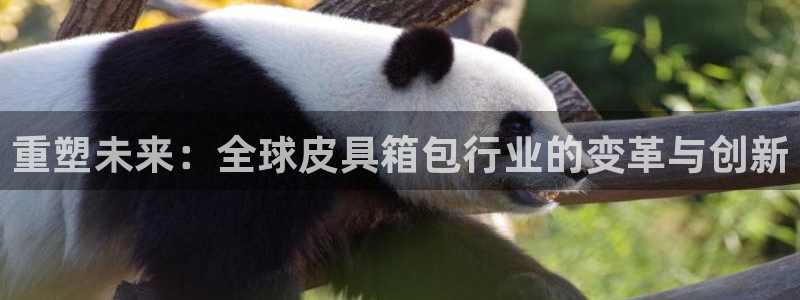 意昂体育3招商电话是多少号码