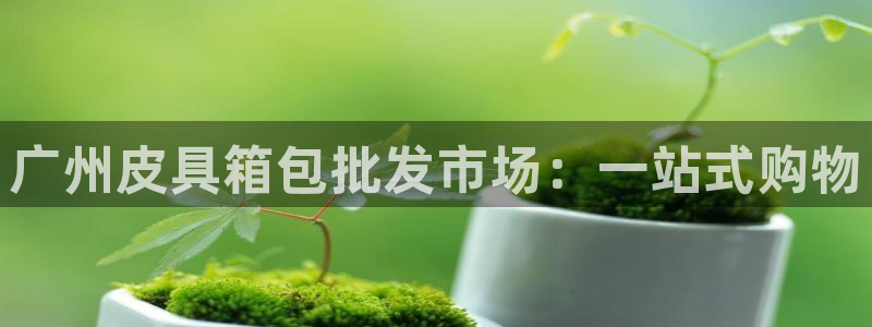 意昂体育3平台是正规平台吗