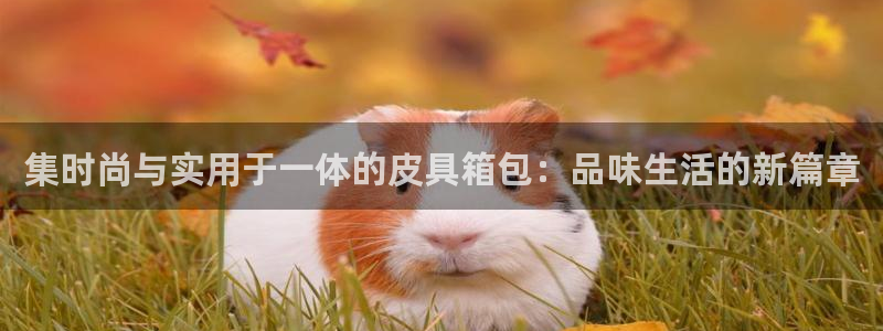 意昂体育3平台假的吗是真的吗吗