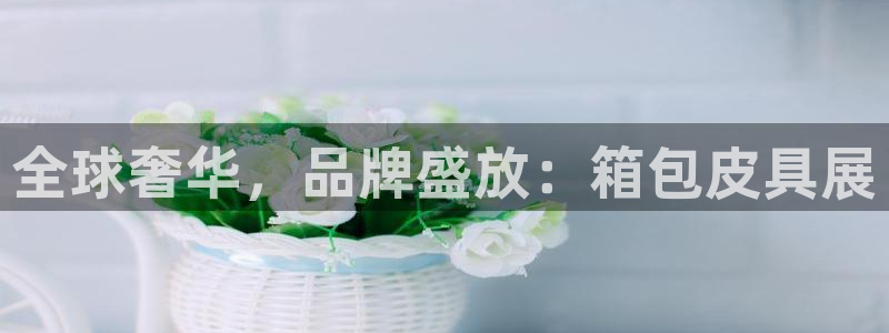 意昂体育3官方客服电话