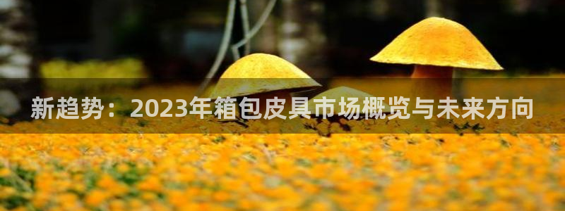 意昂体育3招商电话是多少