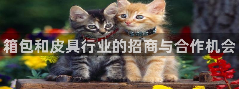 意昂体育3平台注册流程图