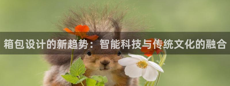 意昂体育3招商电话地址是多少