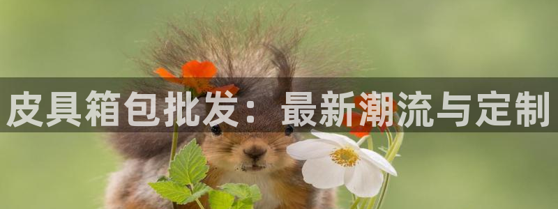 意昂3娱乐代理怎么样